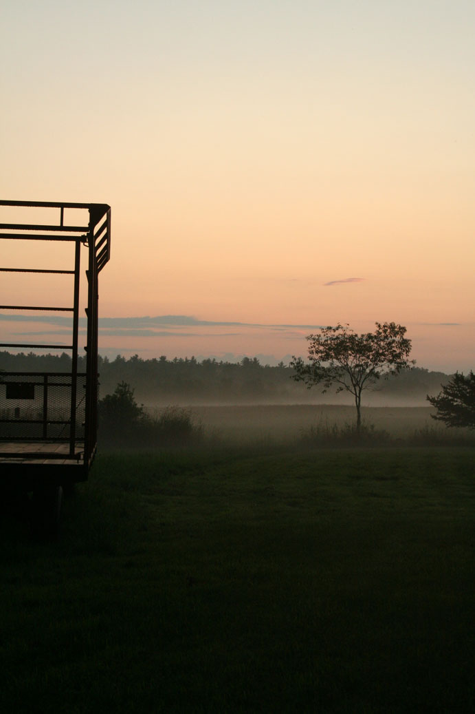 Early morning