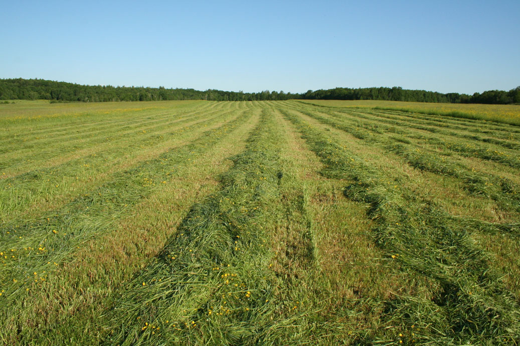 Cutting