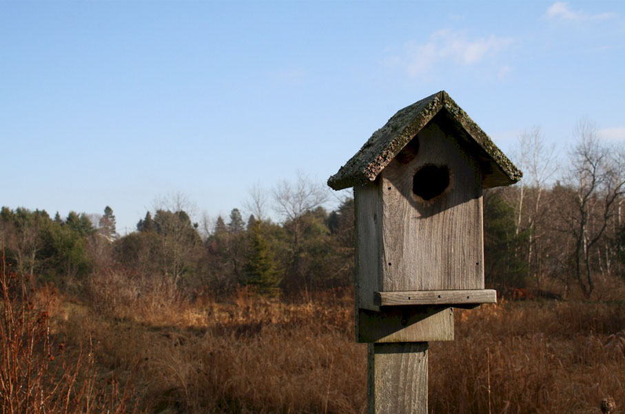 Birdhouse