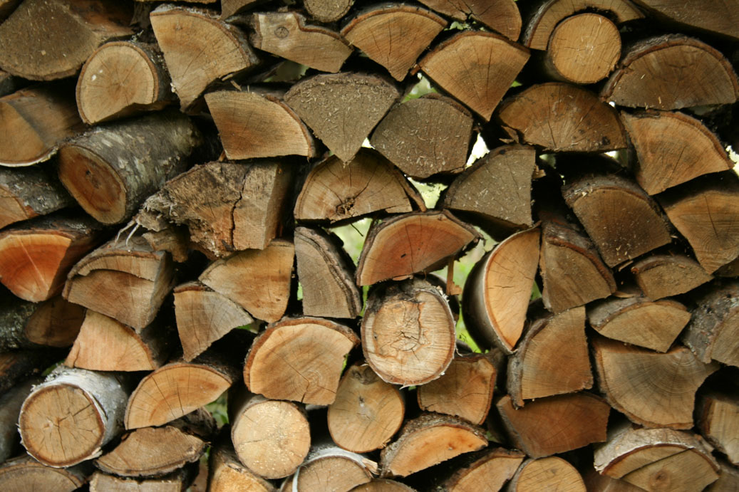 Wood pile